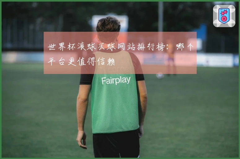 世界杯滚球买球网站排行榜：哪个平台更值得信赖