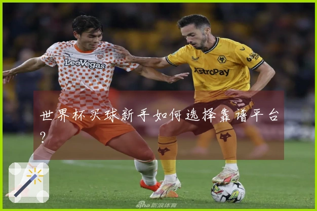 世界杯买球新手如何选择靠谱平台？