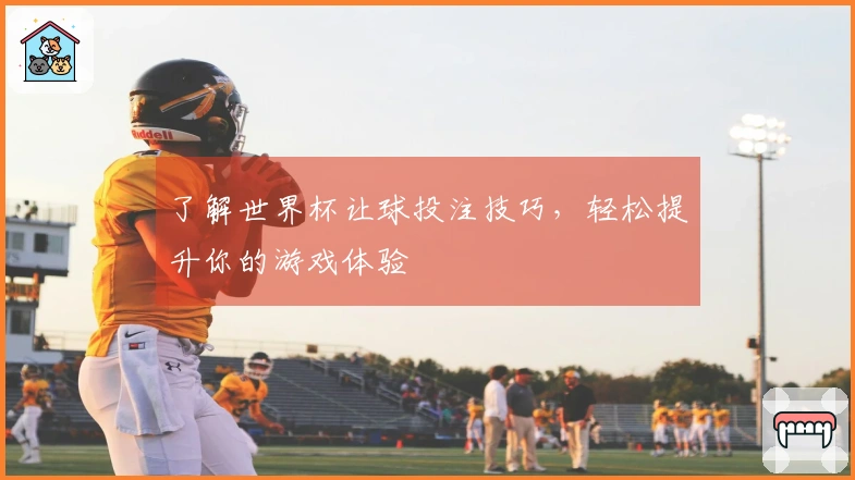 了解世界杯让球投注技巧，轻松提升你的游戏体验