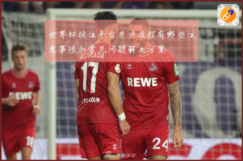 世界杯投注平台开户流程有哪些注意事项和常见问题解决方案