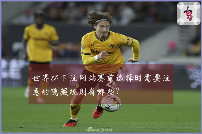 世界杯下注网站赛前选择时需要注意的隐藏规则有哪些？
