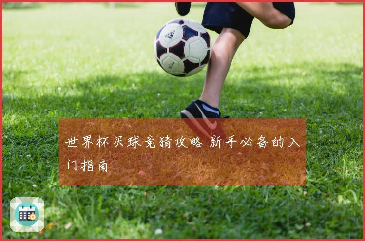 世界杯买球竞猜攻略 新手必备的入门指南