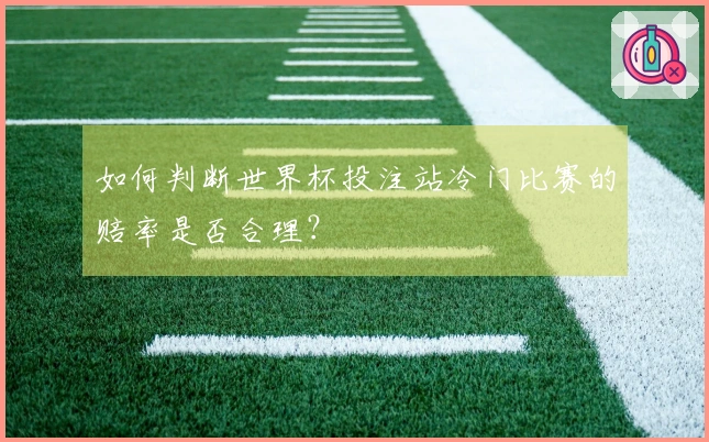 如何判断世界杯投注站冷门比赛的赔率是否合理？