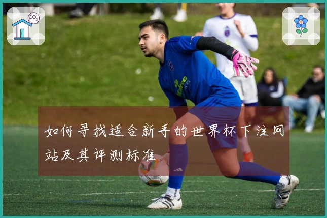 如何寻找适合新手的世界杯下注网站及其评测标准
