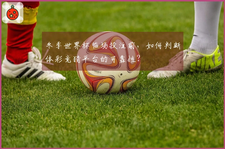 冬季世界杯临场投注前，如何判断体彩竞猜平台的可靠性？