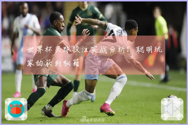世界杯买球投注实战分析：聪明玩家的获利秘籍