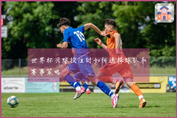 世界杯买球投注时如何选择球队和赛事策略
