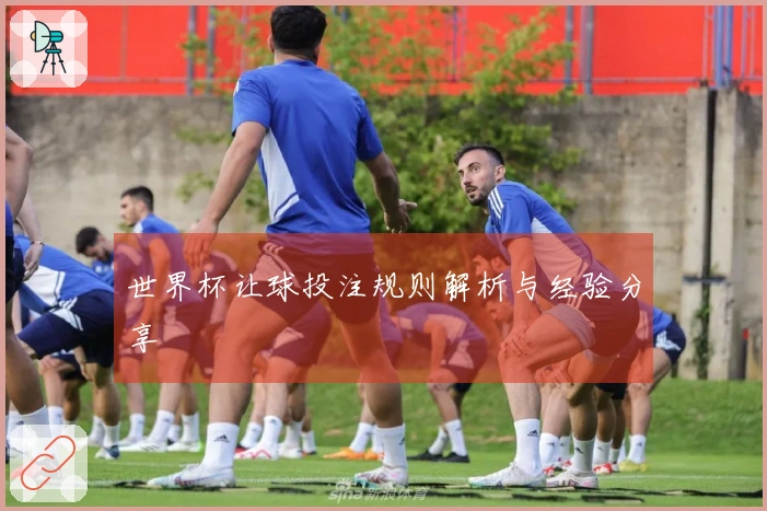 世界杯让球投注规则解析与经验分享