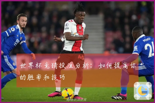 世界杯竞猜投注分析：如何提高你的胜率和技巧