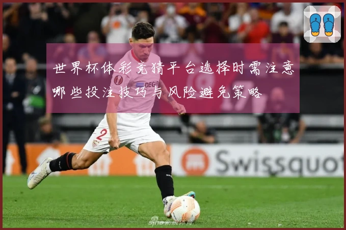 世界杯体彩竞猜平台选择时需注意哪些投注技巧与风险避免策略