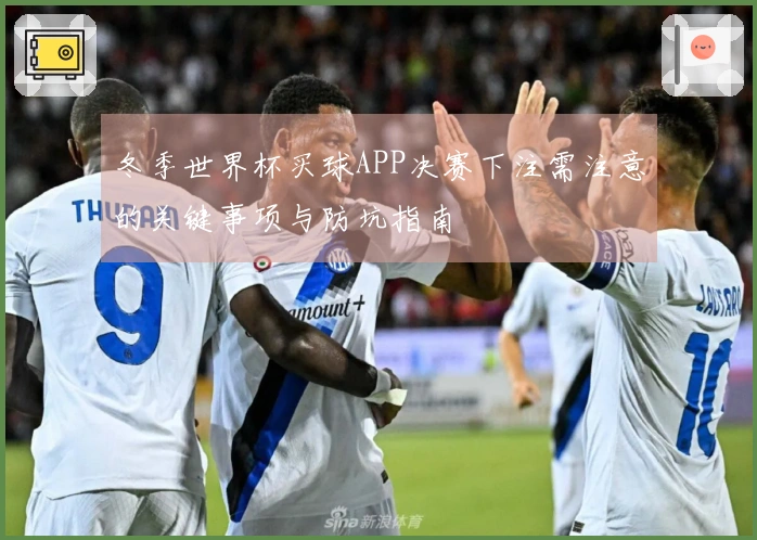 冬季世界杯买球APP决赛下注需注意的关键事项与防坑指南