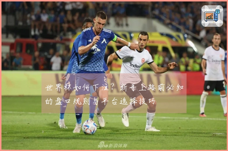 世界杯如何下注？新手上路前必知的盘口规则与平台选择技巧