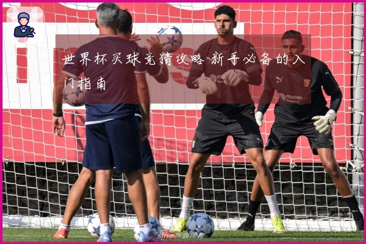 世界杯买球竞猜攻略 新手必备的入门指南