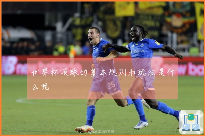 世界杯滚球的基本规则和玩法是什么呢