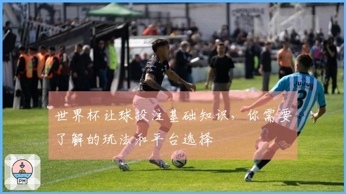 世界杯让球投注基础知识，你需要了解的玩法和平台选择