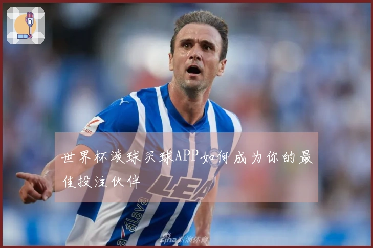 世界杯滚球买球APP如何成为你的最佳投注伙伴