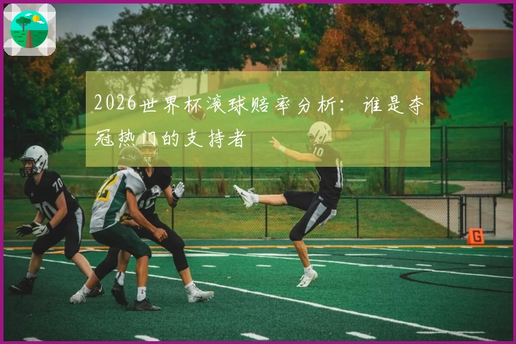 2026世界杯滚球赔率分析：谁是夺冠热门的支持者