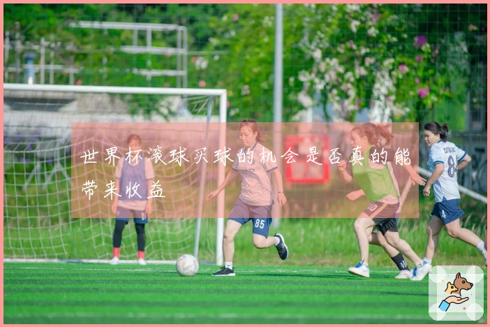 世界杯滚球买球的机会是否真的能带来收益