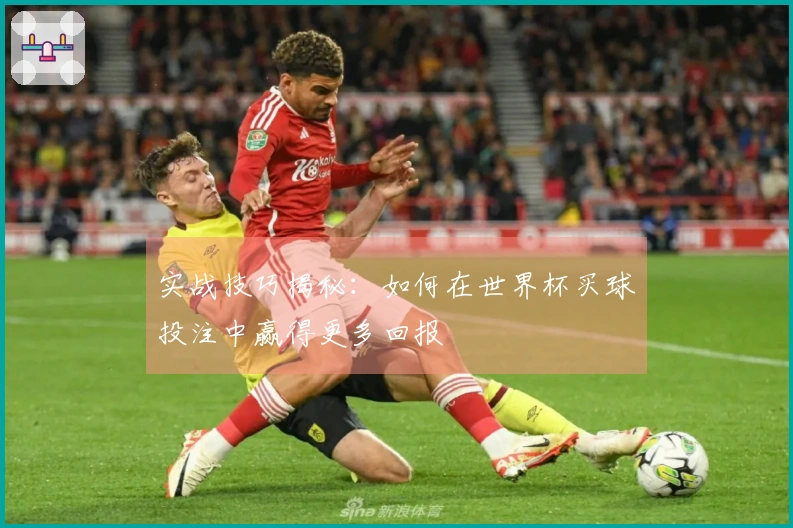 实战技巧揭秘：如何在世界杯买球投注中赢得更多回报