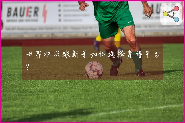 世界杯买球新手如何选择靠谱平台？