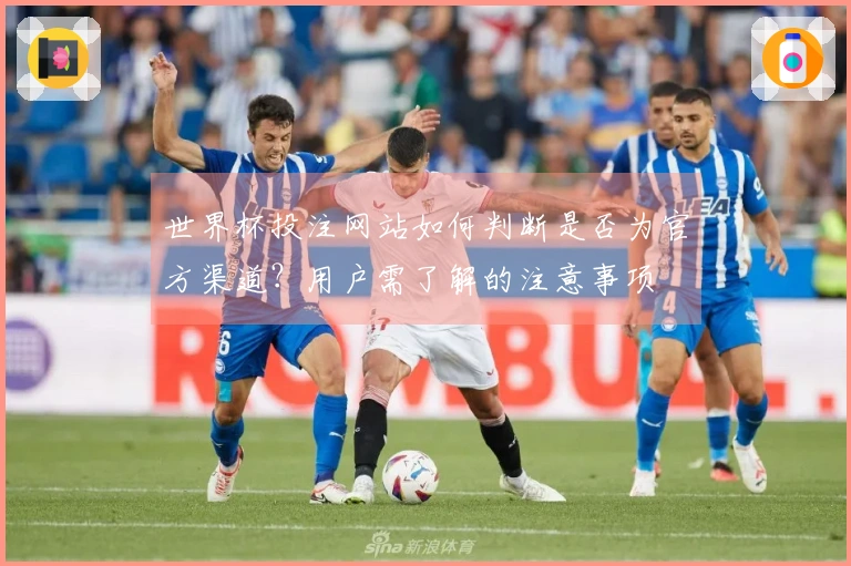 世界杯投注网站如何判断是否为官方渠道？用户需了解的注意事项