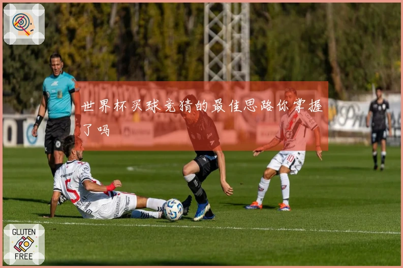 世界杯买球竞猜的最佳思路你掌握了吗