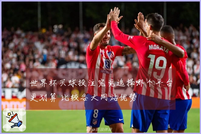 世界杯买球投注究竟选择哪个平台更划算 比较各大网站优势